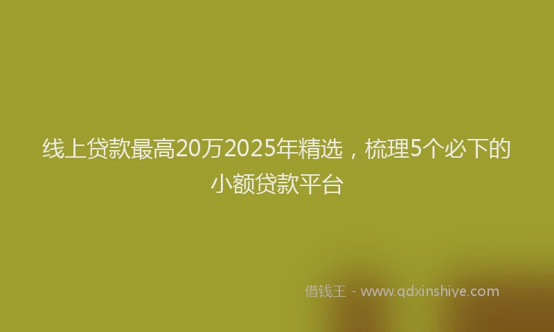 线上贷款最高20万2025年精选，梳理5个必下的小额贷款平台