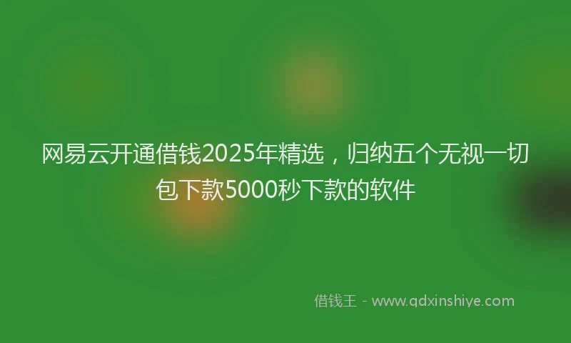 网易云开通借钱2025年精选，归纳五个无视一切包下款5000秒下款的软件