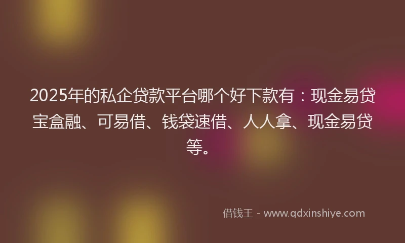 2025年的私企贷款平台哪个好下款有：现金易贷宝盒融、可易借、钱袋速借、人人拿、现金易贷等。