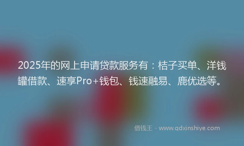 2025年的网上申请贷款服务有：桔子买单、洋钱罐借款、速享Pro+钱包、钱速融易、鹿优选等。