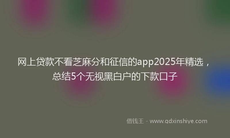 网上贷款不看芝麻分和征信的app2025年精选，总结5个无视黑白户的下款口子