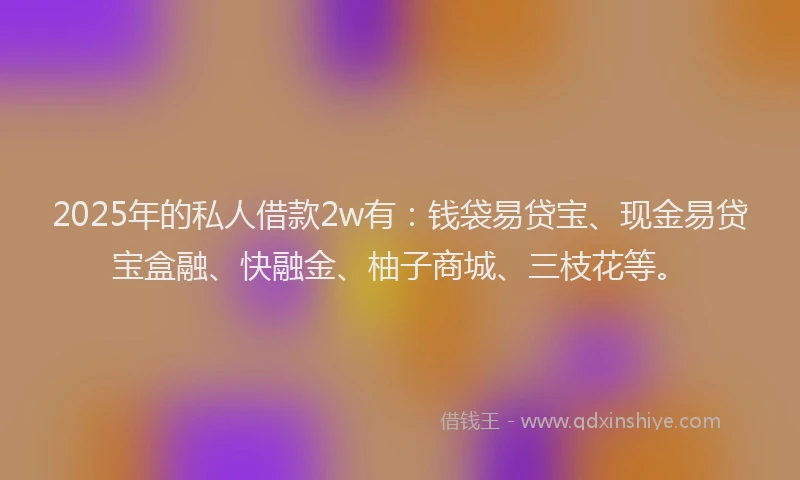 2025年的私人借款2w有：钱袋易贷宝、现金易贷宝盒融、快融金、柚子商城、三枝花等。