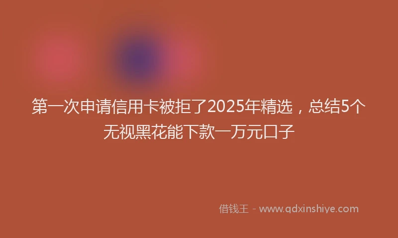 第一次申请信用卡被拒了2025年精选，总结5个无视黑花能下款一万元口子
