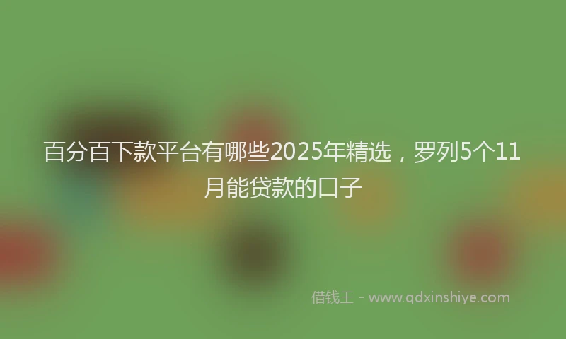 百分百下款平台有哪些2025年精选，罗列5个11月能贷款的口子