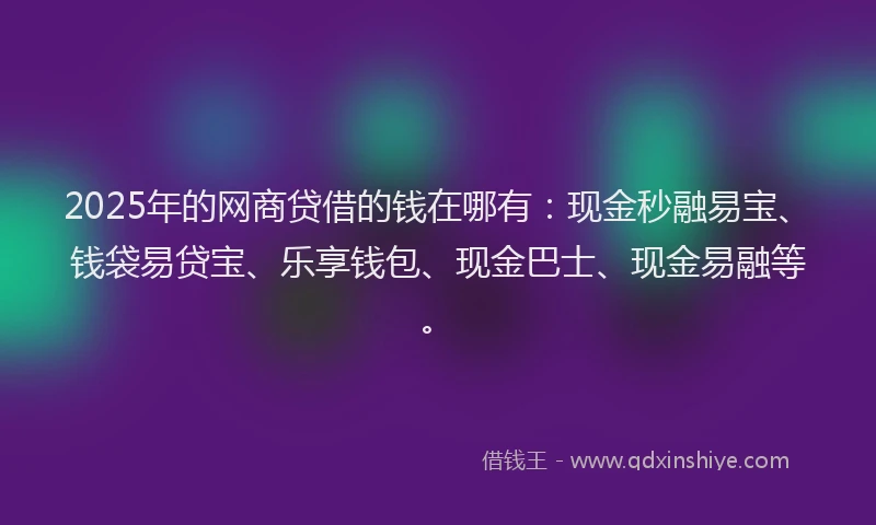 2025年的网商贷借的钱在哪有：现金秒融易宝、钱袋易贷宝、乐享钱包、现金巴士、现金易融等。