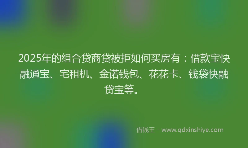 2025年的组合贷商贷被拒如何买房有：借款宝快融通宝、宅租机、金诺钱包、花花卡、钱袋快融贷宝等。