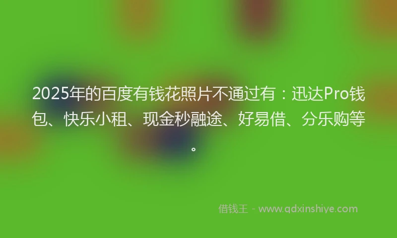 2025年的百度有钱花照片不通过有：迅达Pro钱包、快乐小租、现金秒融途、好易借、分乐购等。