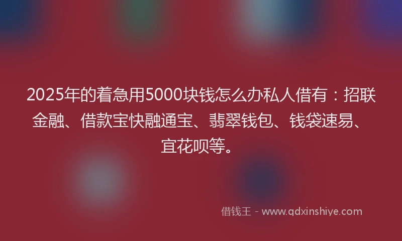 2025年的着急用5000块钱怎么办私人借有：招联金融、借款宝快融通宝、翡翠钱包、钱袋速易、宜花呗等。