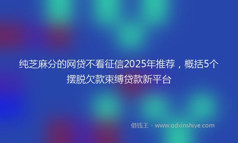 纯芝麻分的网贷不看征信2025年推荐，概括5个摆脱欠款束缚贷款新平台