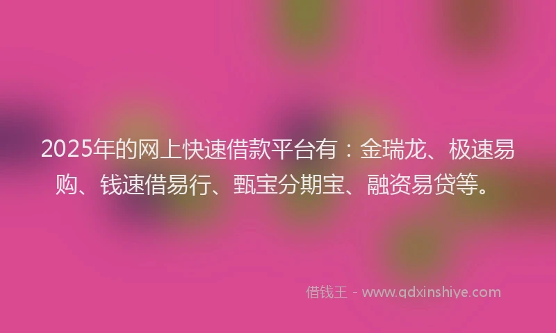 2025年的网上快速借款平台有：金瑞龙、极速易购、钱速借易行、甄宝分期宝、融资易贷等。