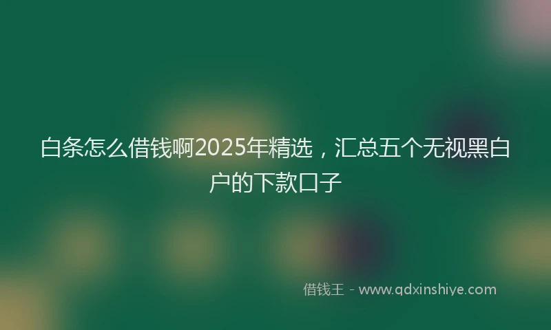 白条怎么借钱啊2025年精选，汇总五个无视黑白户的下款口子