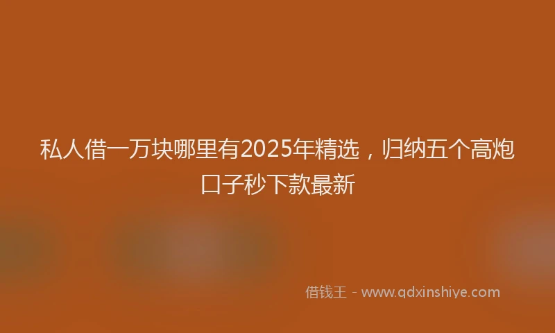 私人借一万块哪里有2025年精选，归纳五个高炮口子秒下款最新