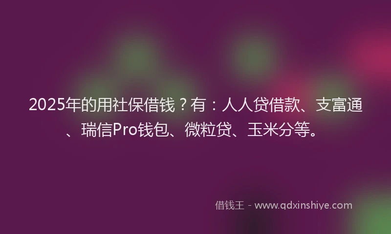 2025年的用社保借钱？有：人人贷借款、支富通、瑞信Pro钱包、微粒贷、玉米分等。