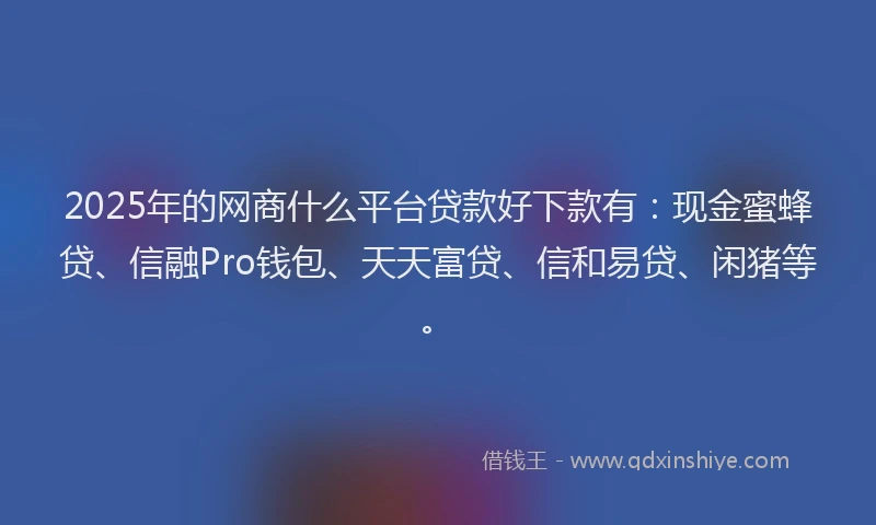 2025年的网商什么平台贷款好下款有：现金蜜蜂贷、信融Pro钱包、天天富贷、信和易贷、闲猪等。
