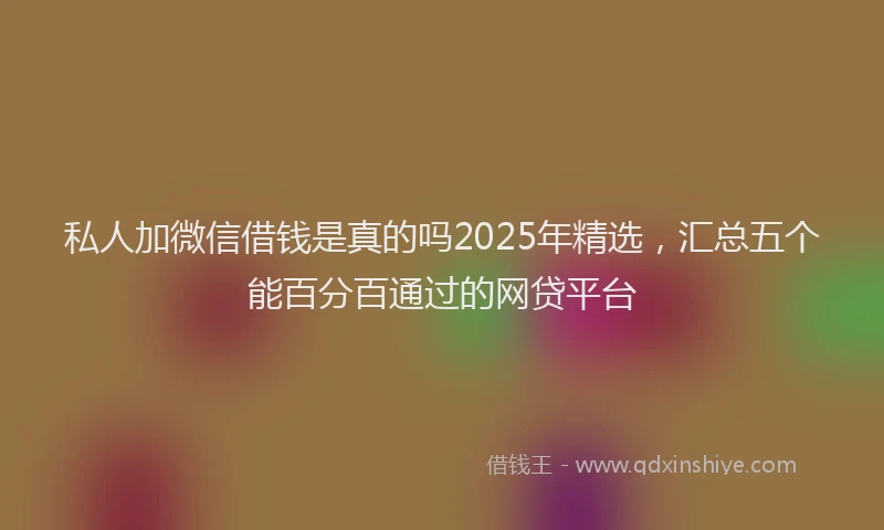私人加微信借钱是真的吗2025年精选，汇总五个能百分百通过的网贷平台