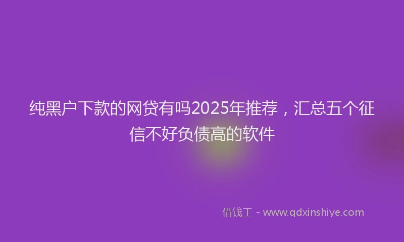 纯黑户下款的网贷有吗2025年推荐，汇总五个征信不好负债高的软件