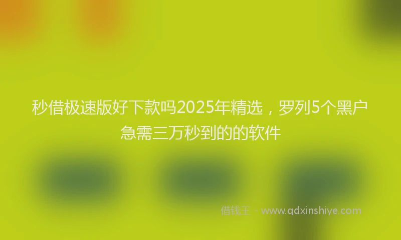 秒借极速版好下款吗2025年精选，罗列5个黑户急需三万秒到的的软件