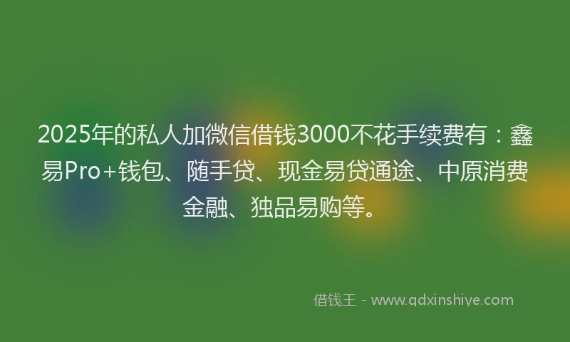 2025年的私人加微信借钱3000不花手续费有：鑫易Pro+钱包、随手贷、现金易贷通途、中原消费金融、独品易购等。