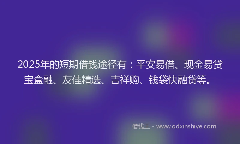 2025年的短期借钱途径有：平安易借、现金易贷宝盒融、友佳精选、吉祥购、钱袋快融贷等。