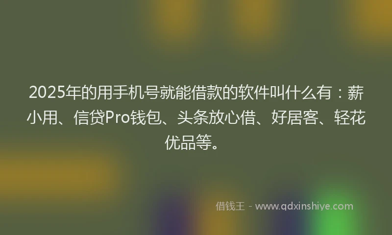 2025年的用手机号就能借款的软件叫什么有：薪小用、信贷Pro钱包、头条放心借、好居客、轻花优品等。