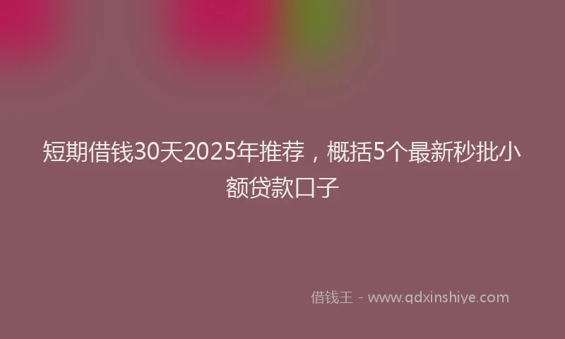 短期借钱30天2025年推荐，概括5个最新秒批小额贷款口子