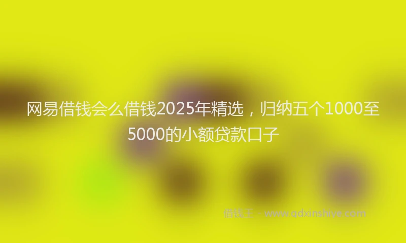 网易借钱会么借钱2025年精选，归纳五个1000至5000的小额贷款口子