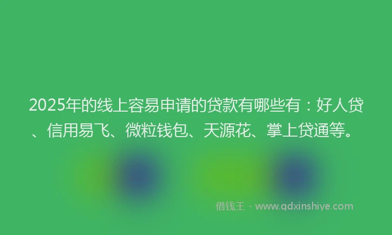 2025年的线上容易申请的贷款有哪些有：好人贷、信用易飞、微粒钱包、天源花、掌上贷通等。