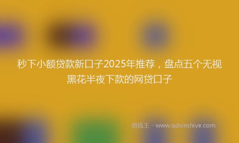 秒下小额贷款新口子2025年推荐，盘点五个无视黑花半夜下款的网贷口子