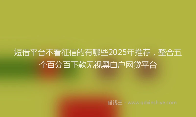短借平台不看征信的有哪些2025年推荐，整合五个百分百下款无视黑白户网贷平台