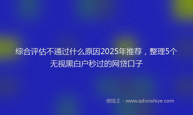 综合评估不通过什么原因2025年推荐，整理5个无视黑白户秒过的网贷口子