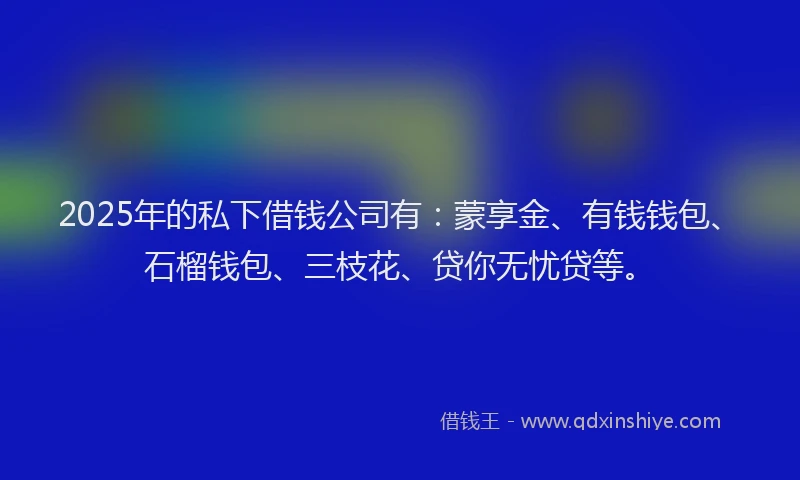 2025年的私下借钱公司有：蒙享金、有钱钱包、石榴钱包、三枝花、贷你无忧贷等。