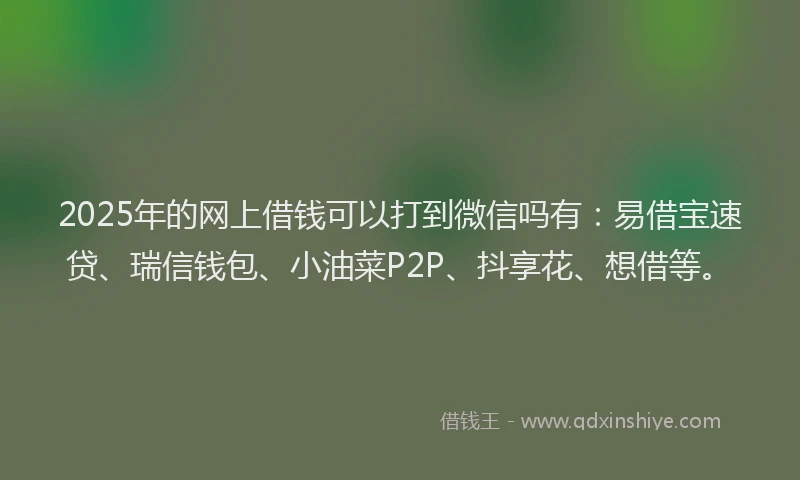 2025年的网上借钱可以打到微信吗有：易借宝速贷、瑞信钱包、小油菜P2P、抖享花、想借等。