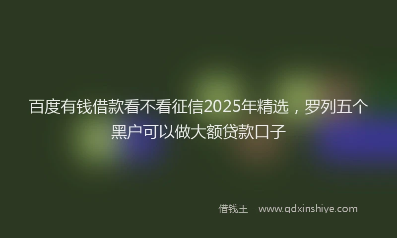 百度有钱借款看不看征信2025年精选，罗列五个黑户可以做大额贷款口子