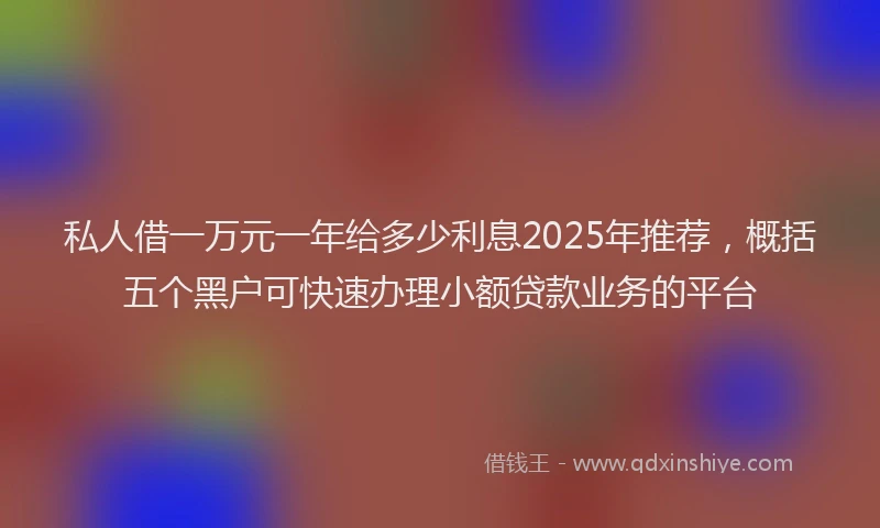 私人借一万元一年给多少利息2025年推荐，概括五个黑户可快速办理小额贷款业务的平台