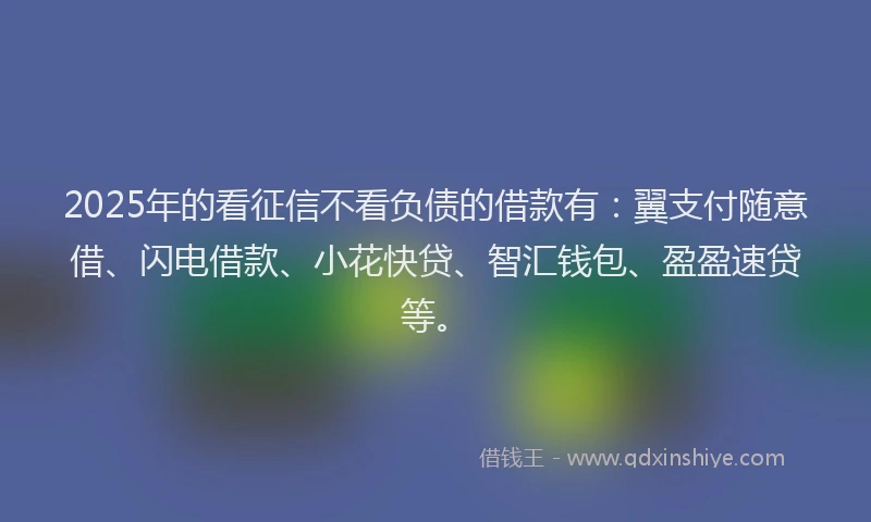 2025年的看征信不看负债的借款有：翼支付随意借、闪电借款、小花快贷、智汇钱包、盈盈速贷等。