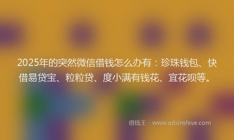2025年的突然微信借钱怎么办有：珍珠钱包、快借易贷宝、粒粒贷、度小满有钱花、宜花呗等。