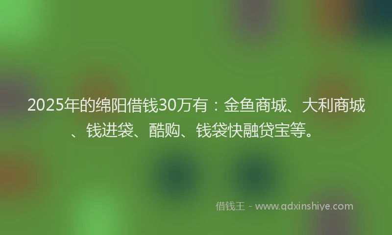 2025年的绵阳借钱30万有：金鱼商城、大利商城、钱进袋、酷购、钱袋快融贷宝等。