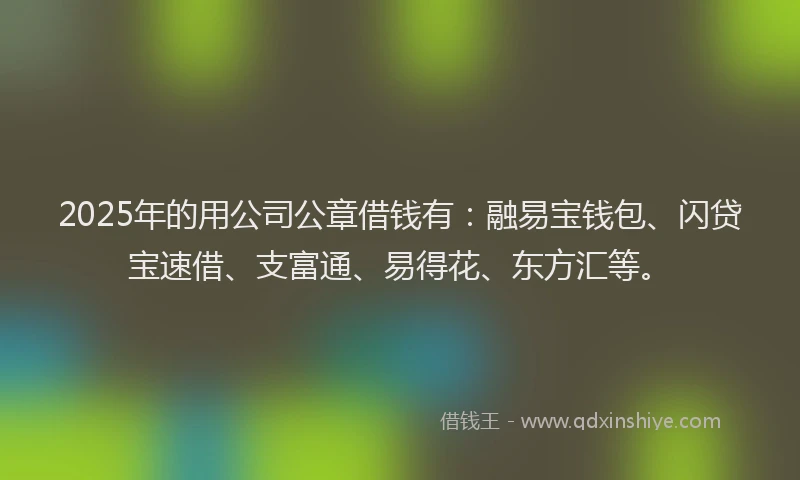 2025年的用公司公章借钱有：融易宝钱包、闪贷宝速借、支富通、易得花、东方汇等。
