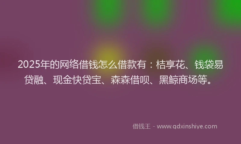 2025年的网络借钱怎么借款有：桔享花、钱袋易贷融、现金快贷宝、森森借呗、黑鲸商场等。
