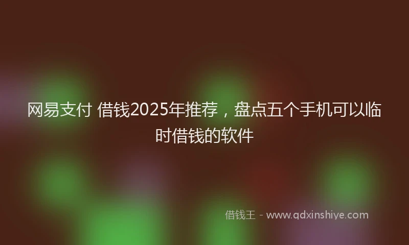 网易支付 借钱2025年推荐，盘点五个手机可以临时借钱的软件