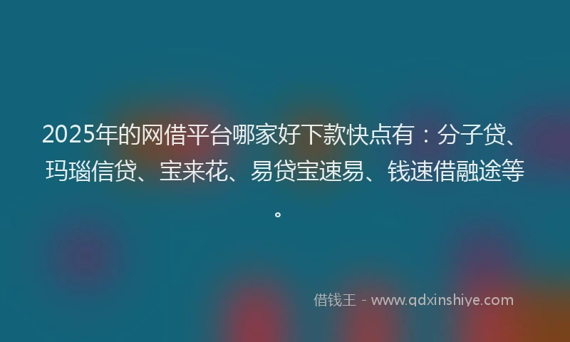 2025年的网借平台哪家好下款快点有：分子贷、玛瑙信贷、宝来花、易贷宝速易、钱速借融途等。