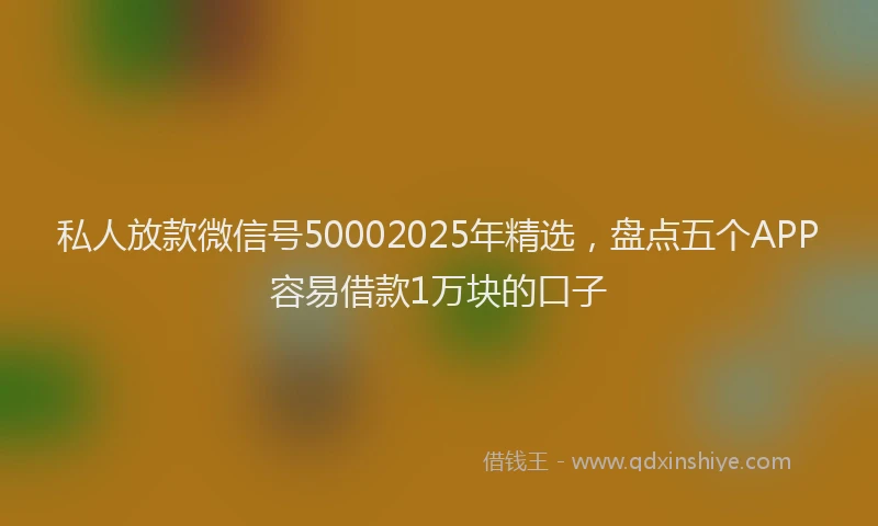 私人放款微信号50002025年精选，盘点五个APP容易借款1万块的口子