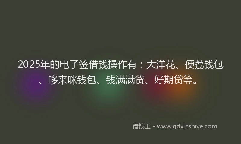 2025年的电子签借钱操作有：大洋花、便荔钱包、哆来咪钱包、钱满满贷、好期贷等。