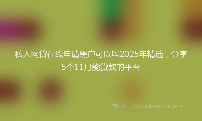 私人网贷在线申请黑户可以吗2025年精选，分享5个11月能贷款的平台