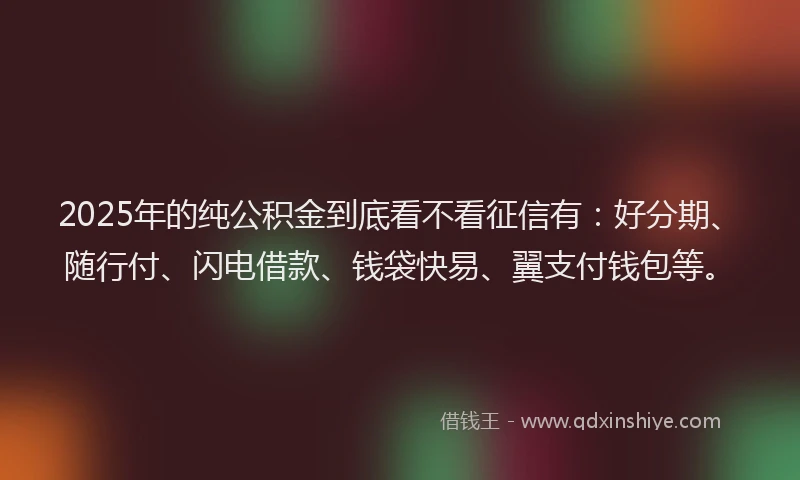 2025年的纯公积金到底看不看征信有：好分期、随行付、闪电借款、钱袋快易、翼支付钱包等。