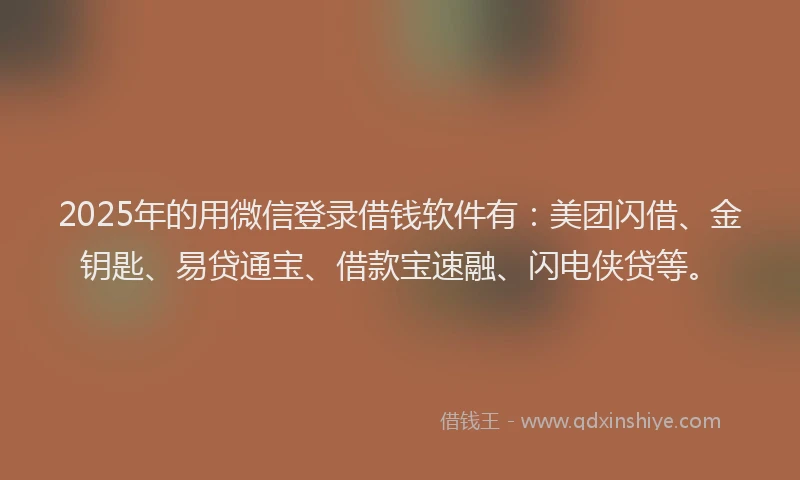 2025年的用微信登录借钱软件有：美团闪借、金钥匙、易贷通宝、借款宝速融、闪电侠贷等。