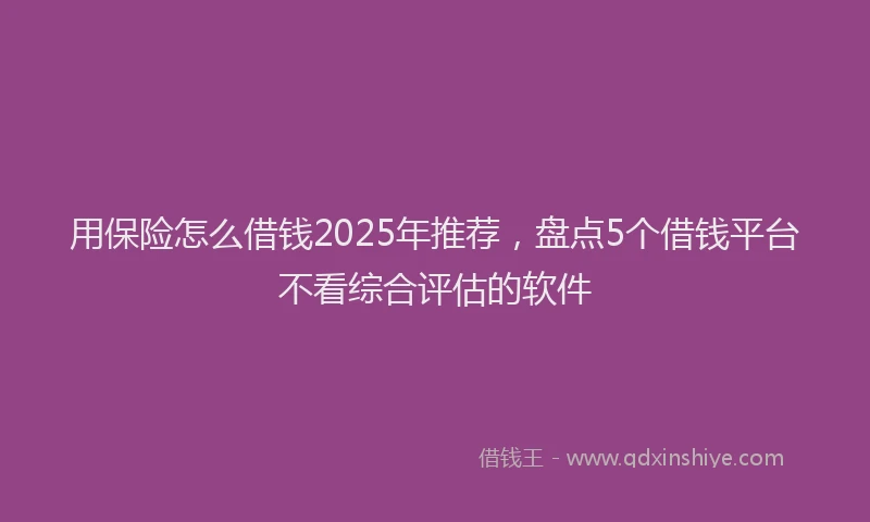用保险怎么借钱2025年推荐，盘点5个借钱平台不看综合评估的软件