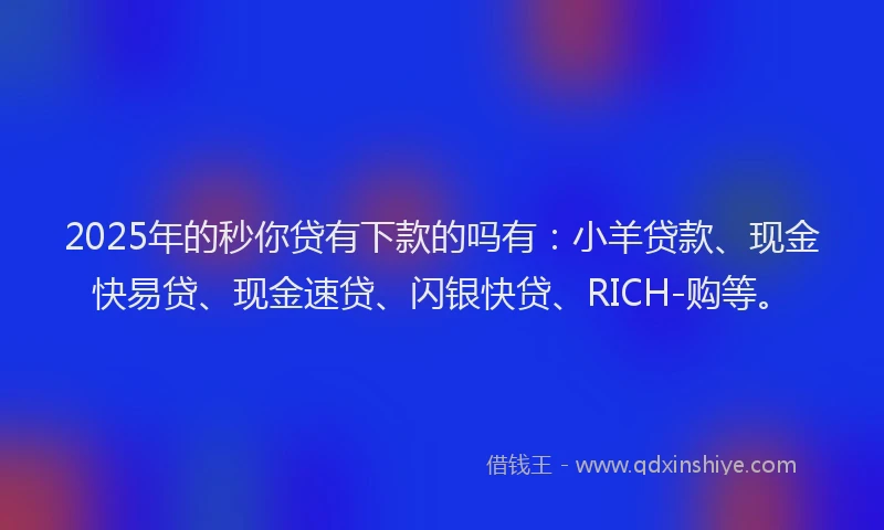 2025年的秒你贷有下款的吗有：小羊贷款、现金快易贷、现金速贷、闪银快贷、RICH-购等。