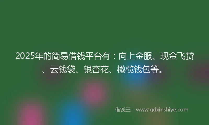 2025年的简易借钱平台有：向上金服、现金飞贷、云钱袋、银杏花、橄榄钱包等。