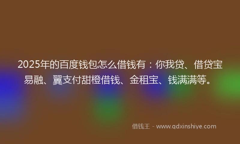 2025年的百度钱包怎么借钱有：你我贷、借贷宝易融、翼支付甜橙借钱、金租宝、钱满满等。